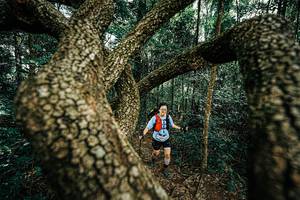 BIB: 
                            <button type="button" onclick="openModal(25393342)" class="btn btn-primary btn-sm float-right btn-popup" data-toggle="modal" data-target=".modal-high-quality">
                        <i class="fas fa-shopping-cart"></i> Add to Cart
                    </button>
                                            <button type="button" onclick="isThisMe(25393342, true)" class="btn btn-success btn-sm float-right btn-popup btn-isme hidden" data-toggle="tooltip" data-placement="bottom" title="นี่คือรูปของคุณใช่ไหม คลิกที่นี่เพื่อเอาเข้าอัลบั้ม">
                        <i class="fas fa-plus"></i> Add to album
                    </button>
                    <button type="button" onclick="isThisMe(25393342, false)" class="btn btn-warning btn-sm float-right btn-popup btn-isnotme hidden">
                        <i class="fas fa-ban"></i> Remove from album
                    </button>